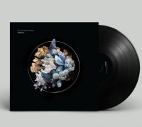 Baris Alessandro - Sintesia (Feat.Lee Ranaldo) in der Gruppe VINYL / Pop-Rock bei Bengans Skivbutik AB (4170571)