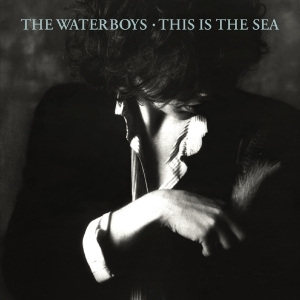 The Waterboys - This Is The Sea in der Gruppe Minishops / Waterboys bei Bengans Skivbutik AB (4178683)