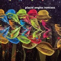 Placid Angles - Touch The Earth Remixes in der Gruppe VINYL / Dance-Techno bei Bengans Skivbutik AB (4179704)