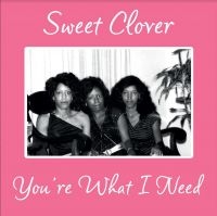 Sweet Clover - You're What I Need in der Gruppe VINYL / Pop-Rock bei Bengans Skivbutik AB (4186166)