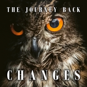 Journey Back - Changes in der Gruppe UNSERE TIPPS / Weihnachtsgeschenktipp CD bei Bengans Skivbutik AB (4194691)