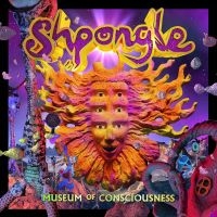 SHPONGLE - MUSEUM OF CONSCIOUSNESS in der Gruppe VINYL / Dance-Techno,Pop-Rock bei Bengans Skivbutik AB (4196381)