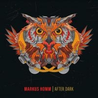 Homm Markus - After Dark in der Gruppe VINYL / Pop-Rock bei Bengans Skivbutik AB (4198719)