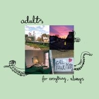 Adults - For Everything, Always in der Gruppe VINYL / Pop-Rock bei Bengans Skivbutik AB (4200321)