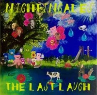 Nightingales - Last Laugh in der Gruppe CD / Pop-Rock bei Bengans Skivbutik AB (4200753)