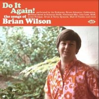 Do It Again! The Songs Of Brian Wil - Various in der Gruppe CD bei Bengans Skivbutik AB (4204849)