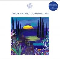 Mathieu Arno E. - Contemplation in der Gruppe VINYL / Pop-Rock bei Bengans Skivbutik AB (4205698)