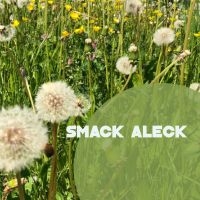 Smack Aleck - Unavoidable in der Gruppe CD / Jazz bei Bengans Skivbutik AB (4208155)