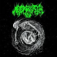 Afterbirth - Brutal Inception in der Gruppe VINYL / Hårdrock bei Bengans Skivbutik AB (4208716)