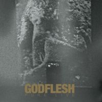 Godflesh - Pure: Live (2 Lp Splatter Vinyl) in der Gruppe VINYL / Pop-Rock bei Bengans Skivbutik AB (4218857)