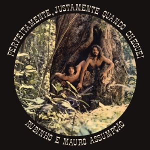 Rubinho E Mauro Assumpoao - Perfeitamente, Justamento Quan in der Gruppe CD / World Music bei Bengans Skivbutik AB (4218939)