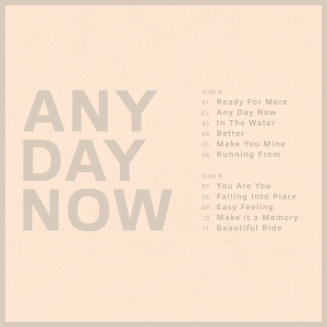 Krezip - Any Day Now in der Gruppe VINYL / Pop-Rock bei Bengans Skivbutik AB (4222169)