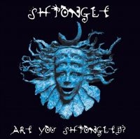 SHPONGLE - ARE YOU SHPONGLED? in der Gruppe UNSERE TIPPS / Weihnachtsgeschenktipp Vinyl bei Bengans Skivbutik AB (4225314)