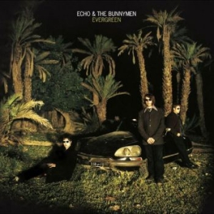 Echo And The Bunnymen - Evergreen in der Gruppe CD / Pop-Rock bei Bengans Skivbutik AB (4225614)