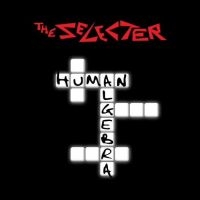 Selecter The - Human Algebra in der Gruppe CD / Hårdrock,Pop-Rock bei Bengans Skivbutik AB (4233214)