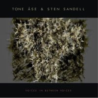 Tone Åse & Sten Sandell - Voices In Between Voices in der Gruppe VINYL / Jazz bei Bengans Skivbutik AB (4238463)