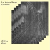 Liv Andrea Hauge Ensemble - Hva Nå, Ekko? in der Gruppe VINYL / Jazz bei Bengans Skivbutik AB (4240486)