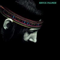 Palmer Bruce - The Cycle Is Complete in der Gruppe VINYL / Hårdrock,Pop-Rock bei Bengans Skivbutik AB (4244948)