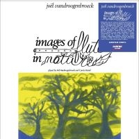 Vandroogenbroeck Joel - Images Of Flute In Nature in der Gruppe VINYL / Hårdrock,Pop-Rock bei Bengans Skivbutik AB (4244974)