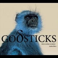 Godsticks - This Is What A Winner Looks Like in der Gruppe VINYL / Pop-Rock bei Bengans Skivbutik AB (4256013)