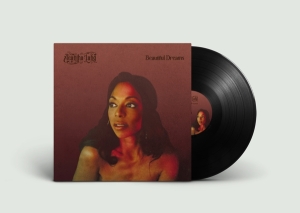 Acantha Lang - Beautiful Dreams in der Gruppe VINYL / RnB-Soul bei Bengans Skivbutik AB (4258071)