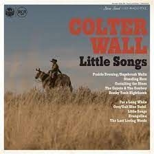 Wall Colter - Little Songs in der Gruppe UNSERE TIPPS / Weihnachtsgeschenktipp CD bei Bengans Skivbutik AB (4260847)