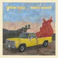 Speedy Ortiz - Rabbit Rabbit in der Gruppe CD / Hårdrock,Pop-Rock bei Bengans Skivbutik AB (4275769)