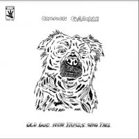 Common Grackle - Old Dog New Tricks Who This in der Gruppe VINYL / Pop-Rock bei Bengans Skivbutik AB (4287337)