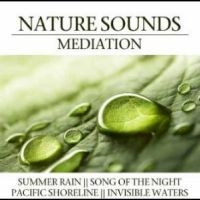 Various Artists - Nature Sounds Meditation in der Gruppe CD / Pop-Rock bei Bengans Skivbutik AB (4290593)