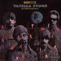 Vanilla Fudge - Renaissance in der Gruppe CD / Pop-Rock bei Bengans Skivbutik AB (4290982)