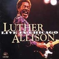 Allison Luther - Live In Chicago in der Gruppe CD / Blues,Jazz bei Bengans Skivbutik AB (4296035)