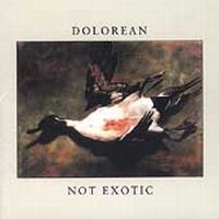 Dolorean - Not Exotic in der Gruppe CD / Pop-Rock bei Bengans Skivbutik AB (4296064)