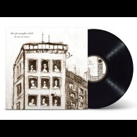 Pineapple Thief The - 10 Stories Down in der Gruppe UNSERE TIPPS / Weihnachtsgeschenktipp Vinyl bei Bengans Skivbutik AB (4296405)