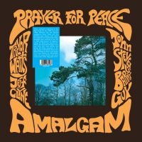 Amalgam - Prayer For Peace in der Gruppe VINYL / Hip Hop-Rap,Pop-Rock,Övrigt bei Bengans Skivbutik AB (4298294)