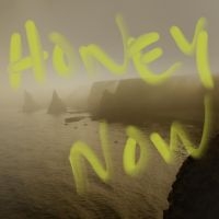 Neon Waltz - Honey Now in der Gruppe CD bei Bengans Skivbutik AB (4298371)