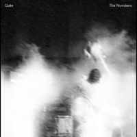 Gate - The Numbers in der Gruppe VINYL / Pop-Rock bei Bengans Skivbutik AB (4302266)