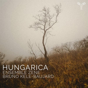 Ensemble Zene - Hungarica (Kodaly Bartok Ligeti) in der Gruppe CD / Övrigt bei Bengans Skivbutik AB (4303117)