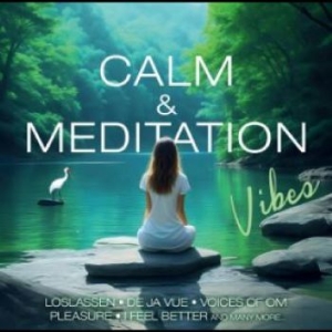 Various Artists - Calm & Meditation Vibes in der Gruppe MUSIK / Dual Disc / Pop-Rock bei Bengans Skivbutik AB (4305560)