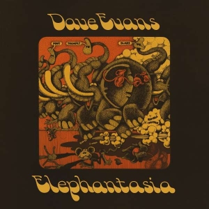 Evans Dave - Elephantasia in der Gruppe VINYL / Pop-Rock bei Bengans Skivbutik AB (4312180)