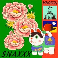 MNDSGN - SNAXXX in der Gruppe VINYL bei Bengans Skivbutik AB (4312351)