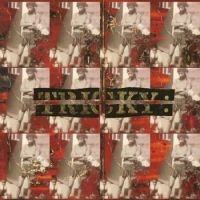 Tricky - Maxinquaye in der Gruppe UNSERE TIPPS / Weihnachtsgeschenktipp CD bei Bengans Skivbutik AB (4312598)