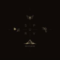 SPURV - BREFJÆRE (VINYL LP) in der Gruppe VINYL / Pop-Rock bei Bengans Skivbutik AB (4312995)