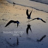 TINGVALL TRIO - BIRDS in der Gruppe VINYL / Jazz bei Bengans Skivbutik AB (4313107)