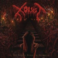 Xorsist - At The Somber Steps Of Serenity in der Gruppe CD / Hårdrock bei Bengans Skivbutik AB (4313522)