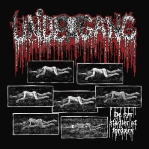 Undergang - De Syv Stadier Af Fordaerv in der Gruppe CD / Hårdrock bei Bengans Skivbutik AB (4313837)