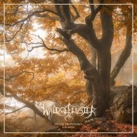 Waldgeflüster - Unter Bronzenen Kronen (Digipack) in der Gruppe CD / Hårdrock bei Bengans Skivbutik AB (4314255)