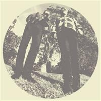 Segall Ty & White Fence - Hair in der Gruppe VINYL / Pop-Rock bei Bengans Skivbutik AB (482129)