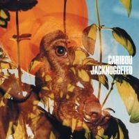 Manitoba - Jack Nuggeted in der Gruppe VINYL / Pop-Rock bei Bengans Skivbutik AB (485105)