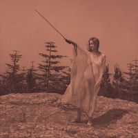 Unknown Mortal Orchestra - Ii in der Gruppe UNSERE TIPPS / Weihnachtsgeschenktipp Vinyl bei Bengans Skivbutik AB (486740)