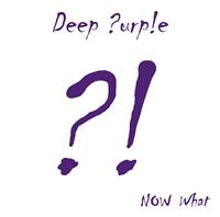 DEEP PURPLE - NOW WHAT?! in der Gruppe UNSERE TIPPS / Weihnachtsgeschenktipp Vinyl bei Bengans Skivbutik AB (487031)